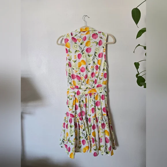 Cynthia Rowley Linen Blend Dress 8 Sleeveless Button Front Fruit Print Belted - Picture 6 of 11